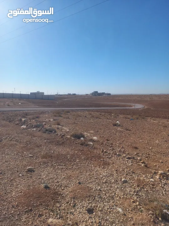 ارض للبيع شرق جامعة العلوم والتكنولوجيا