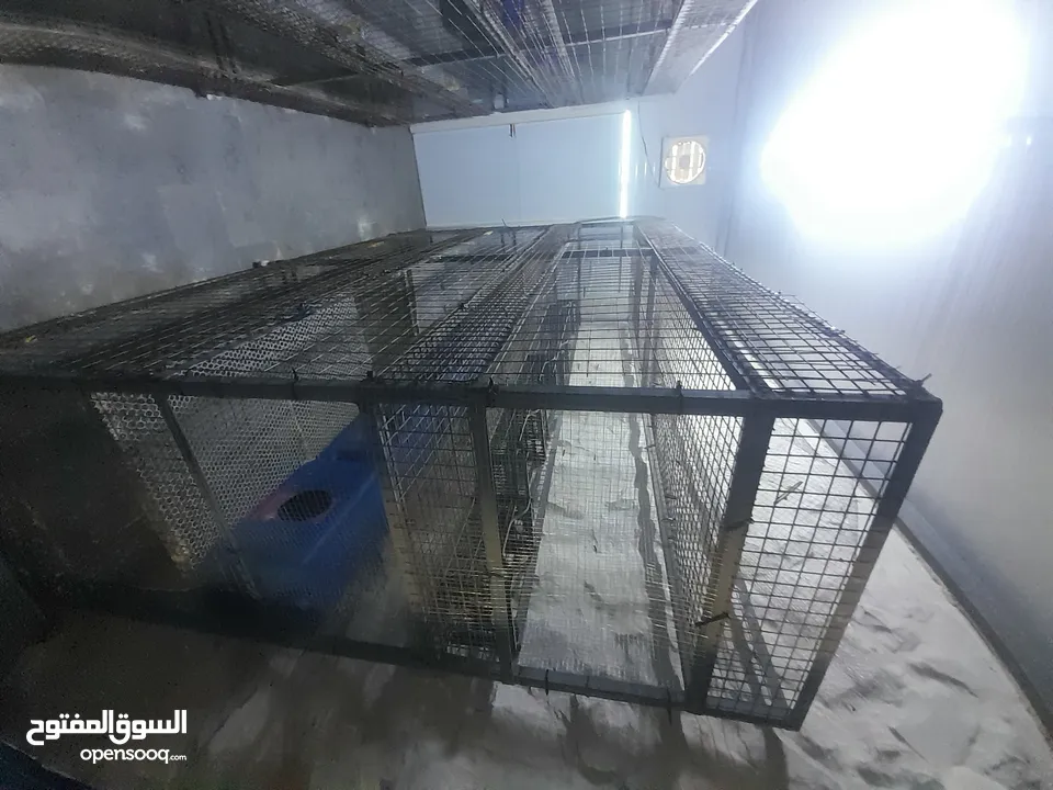 رفوف حديد وكالة للبيع خاصة للزراعة و تربية الحيوانات و الرجاء التواصل على الواتس اب