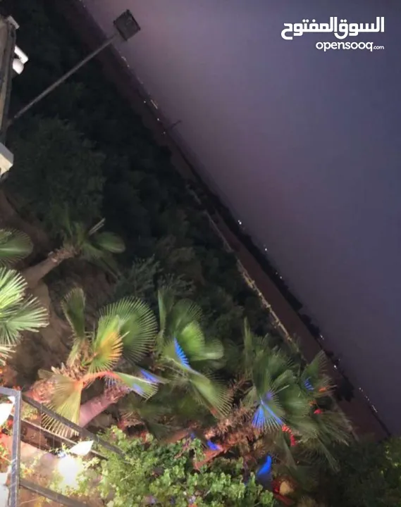 مزرعة مميزة و مشجرة للبيع بسعر مغري
