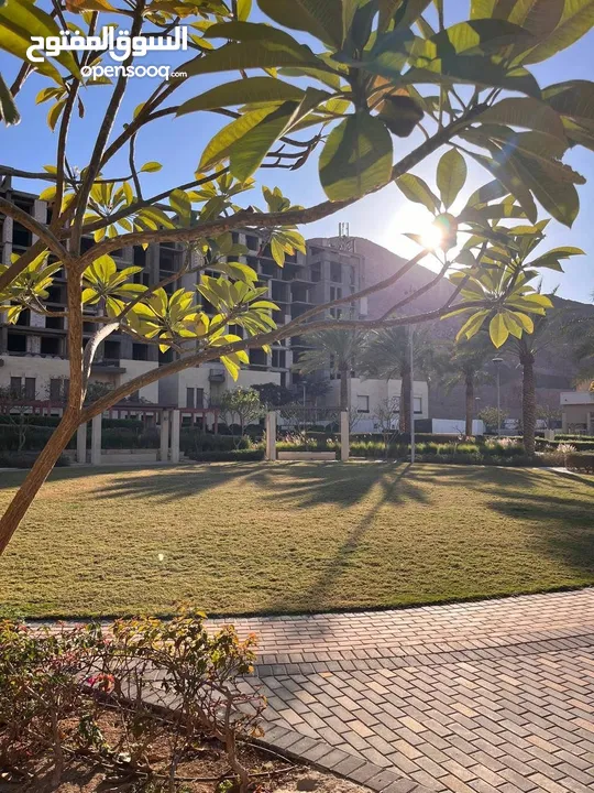 شاليه في العقبة alraha Chalet for rent aqaba  تالابيه Talabay