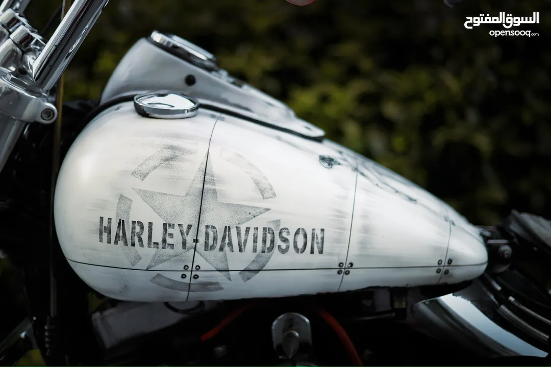 HARLEY DAVIDSON STREET BOP IN EXCELLENT CONDITION