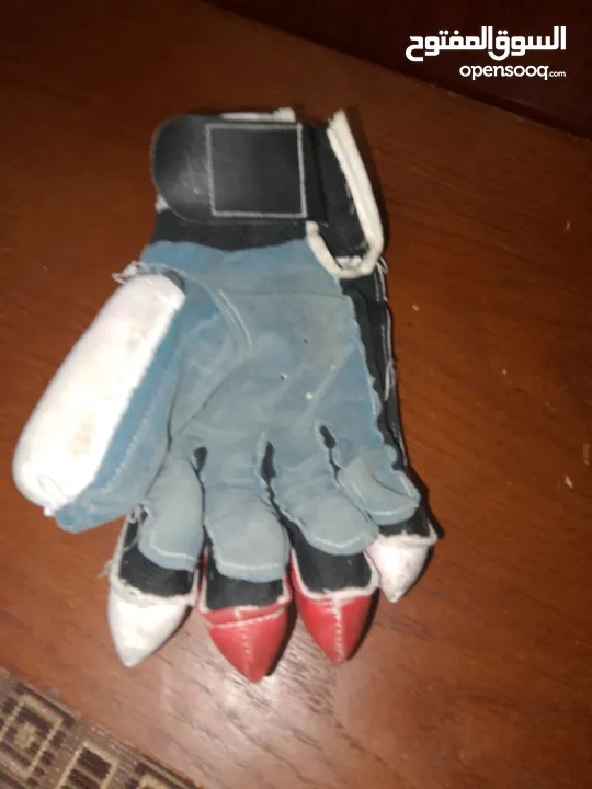 cricket batsman gloves of grey nicolls it is a pair