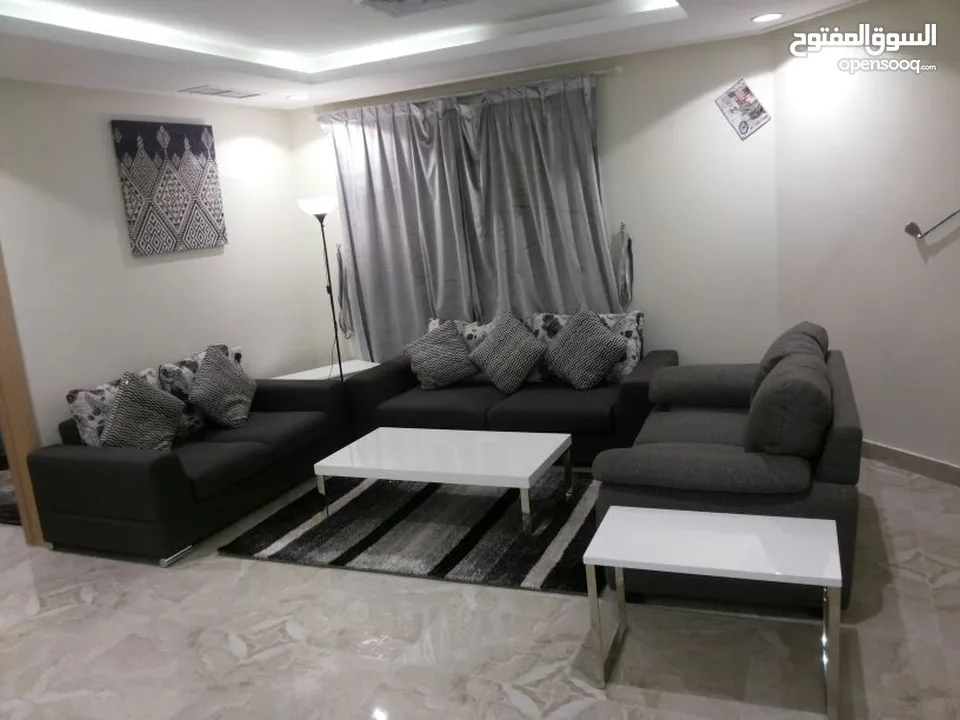The Bridge Co.  Spacious Luxury Fully Furnished apartment’s prime location in FINTAS AREA