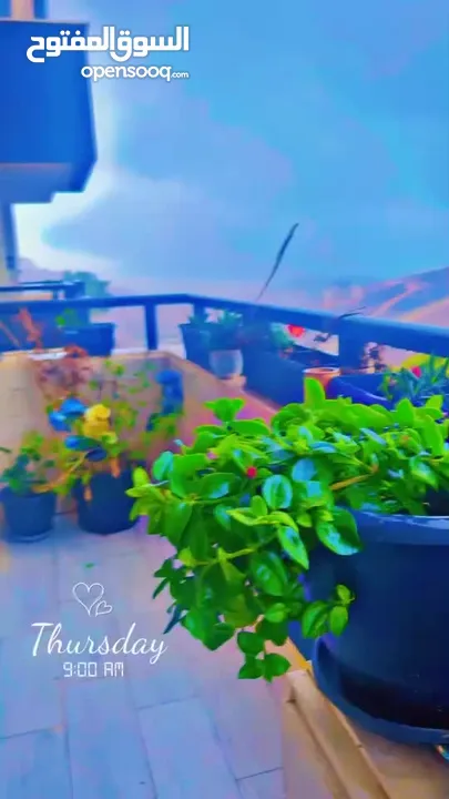 شقة من المالك مباشرة