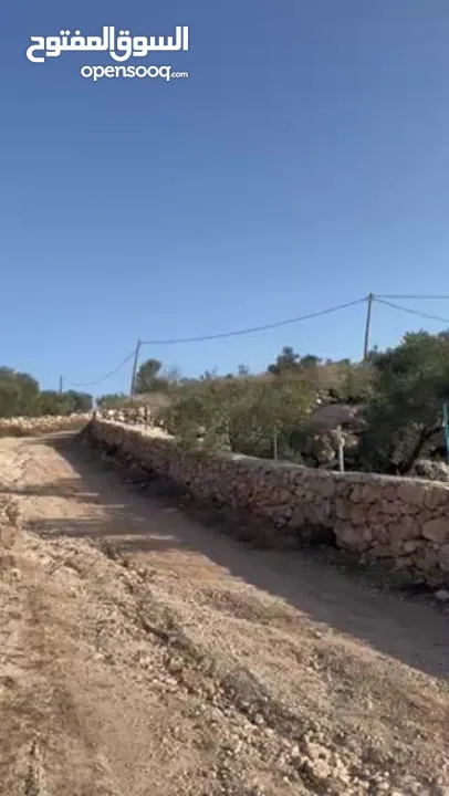 ارض للبيع في بلعا