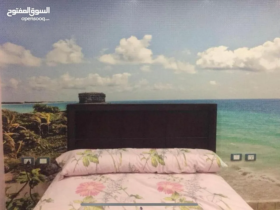 Roof Garden Apartments for sale - Alexandria street by the beach  شقة رووف للبيع - أول شارع ايكندرية