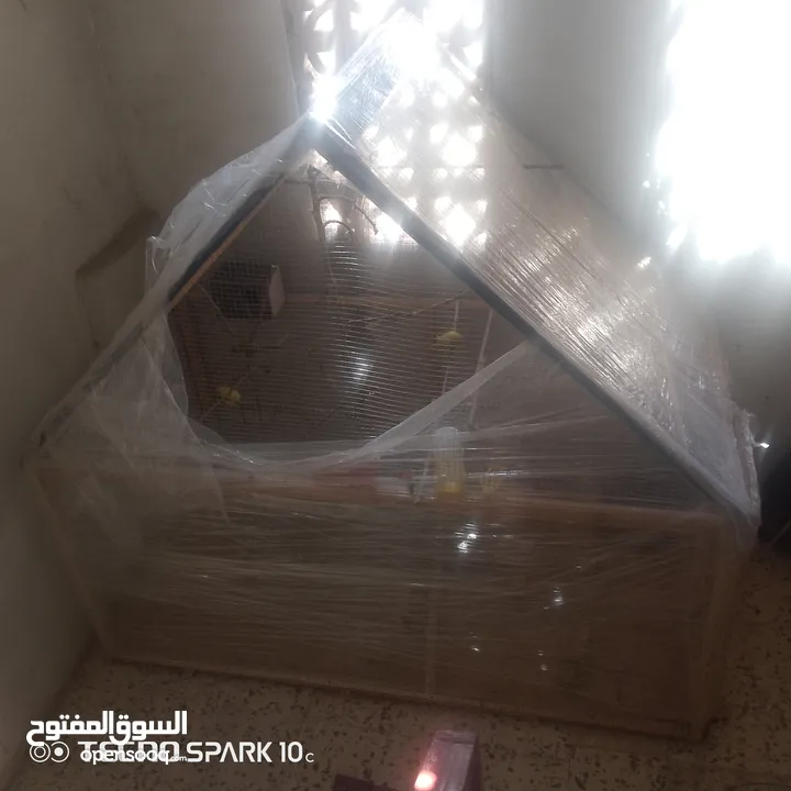 مطير عصافير حجم كبير