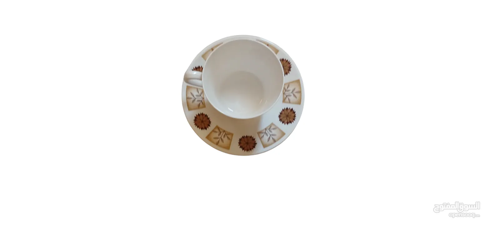 فنجان وصحن فاخر - ماركة Royal Vale الإنجليزية الأصلية