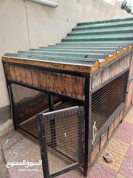 Dog cage for sale