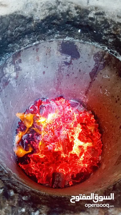 وجبة عائلية تكفي لأربع أو خمس اشخاص