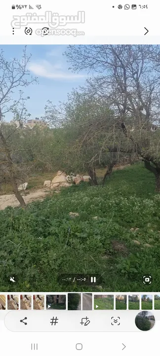 ارض كوشان طابو منطقه B مطله وكاشفه. وسط البلد يصلها شارع وجميع الخدمات حولها فلل