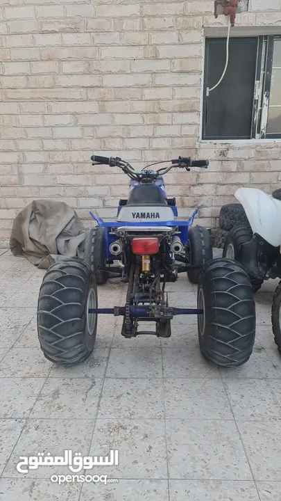 YAMAHA BANSHEE