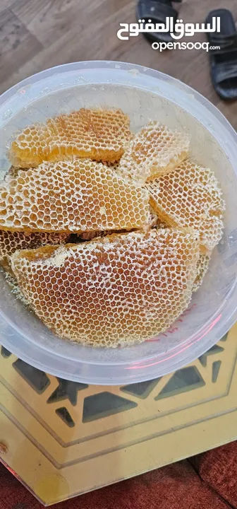 جميع انواع العسل اليمني