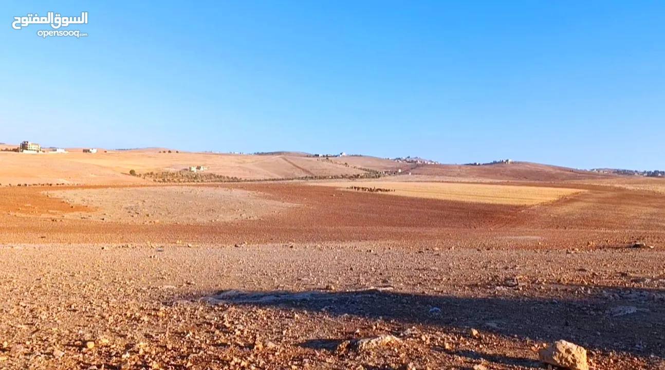 ارض استثمارية مميزة/ مزرعة تميرة للبيع بسعر مناسب جدا من المالك مباشرة/تم بيع قطعتين و باقي قطعتين