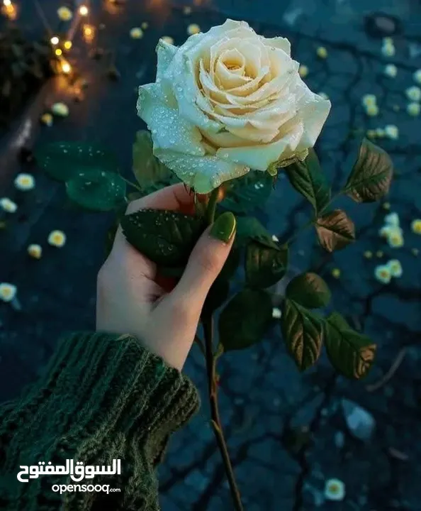 منزل مستقل للبيع دورا الخليل