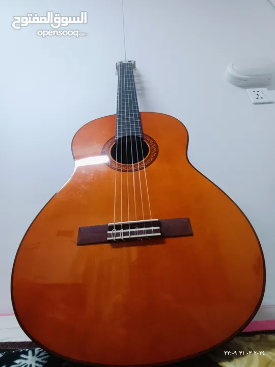 كلاسيك غيتار ياماها c70 للبيع classical guitar Yamaha c70