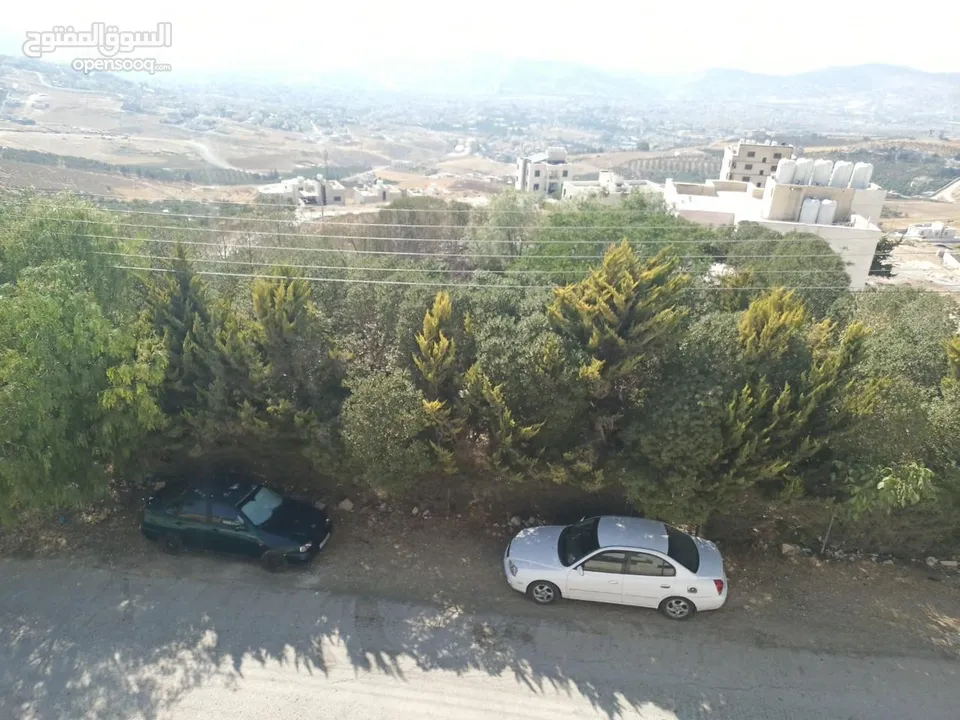 ارض مميزه للبيع خلف قصر الاميره بسمه