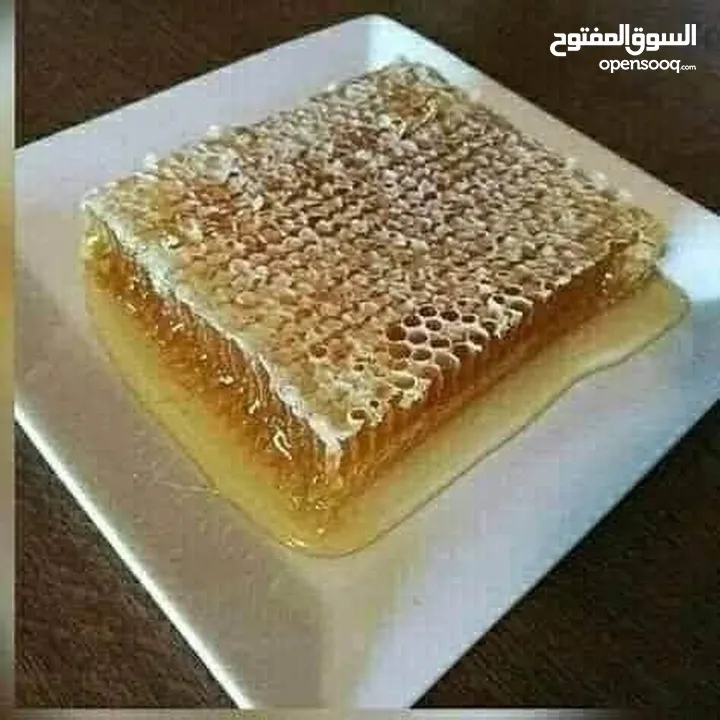عسل 100/100مكفول
