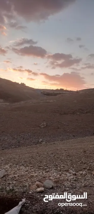 ارض للبيع في بيت لحم الشواورة تصنيف الف سلة