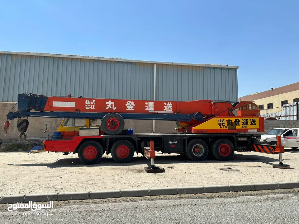 25 Ton crane for sale