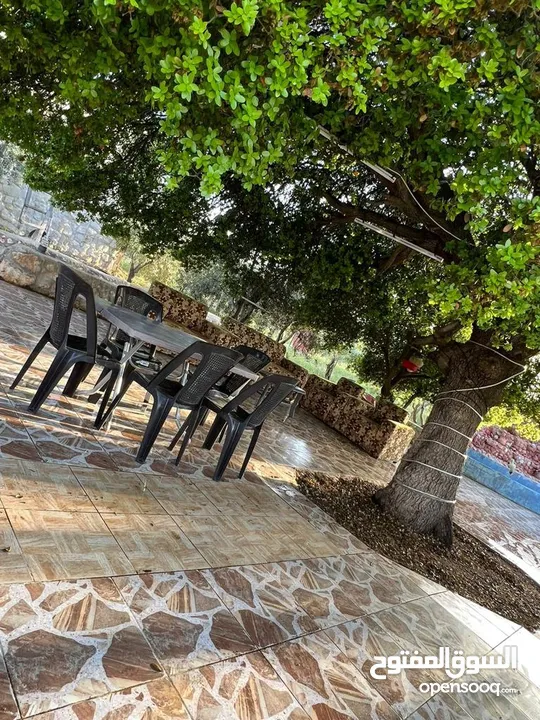مزرعة العنود للايجار اليومي