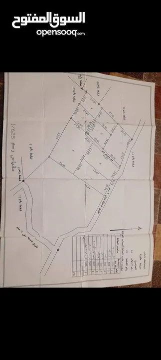 تويتا كامري