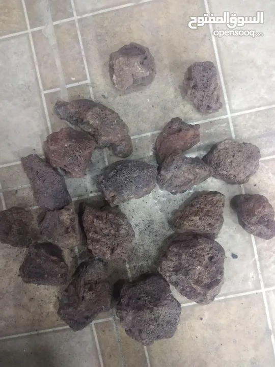 حجر شاركول للبيع