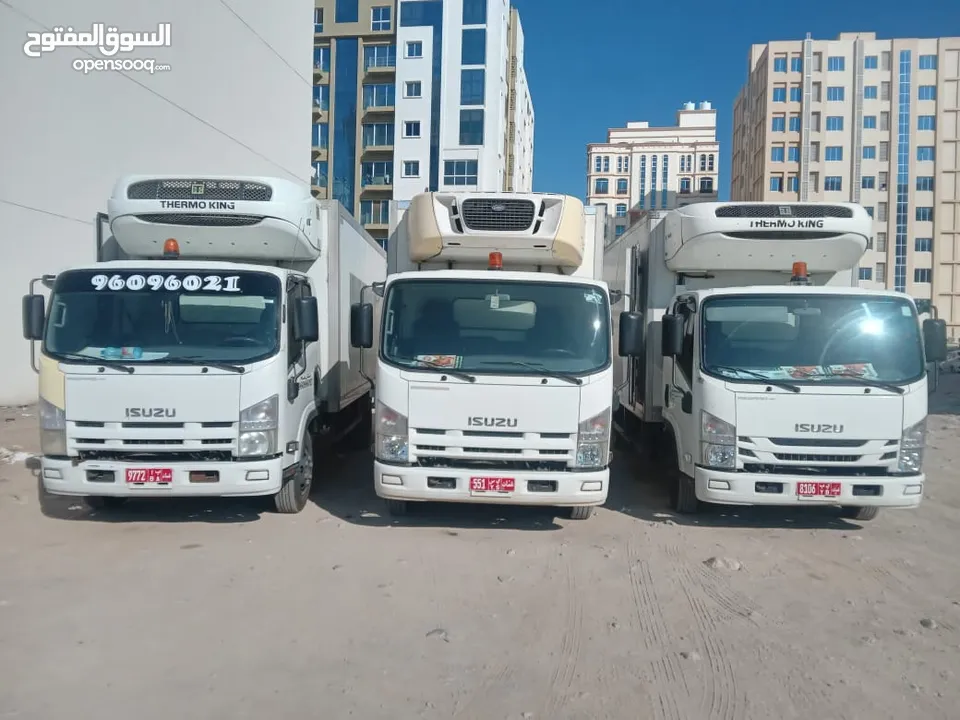 شاحنة براد (ثلاجة) تبريد وتجميد للايجار اليومي Refer (chiler) truck for dealy rent