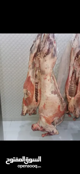عرض العيد لحم خروف استرالي و مشاكيك و جمل