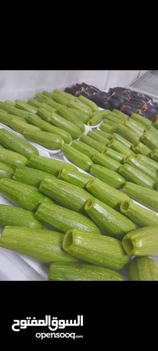 مطبخ بيت المونه الشهية