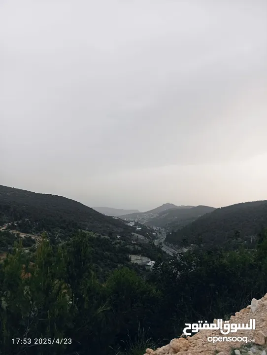 بيت العز والكرم
