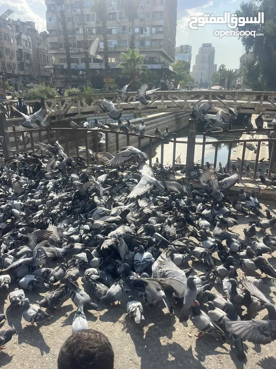 اريد قطعة ل دراجه هوائيه
