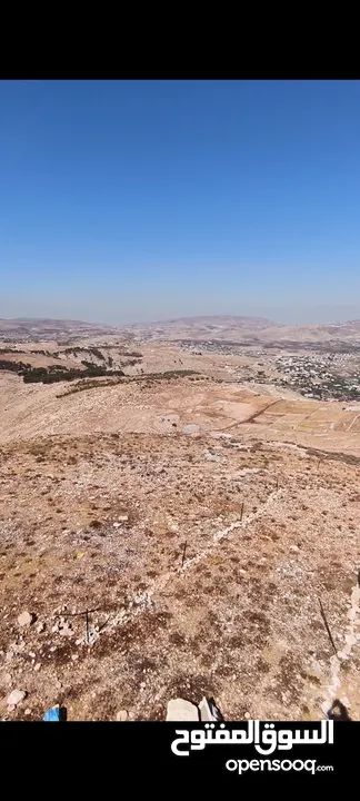 بعد الصلاة ع النبي أرض بموقع ممتاذ للأستثمار نابلس امتدات المساكن الشعبيه منطقة عين كاكوب