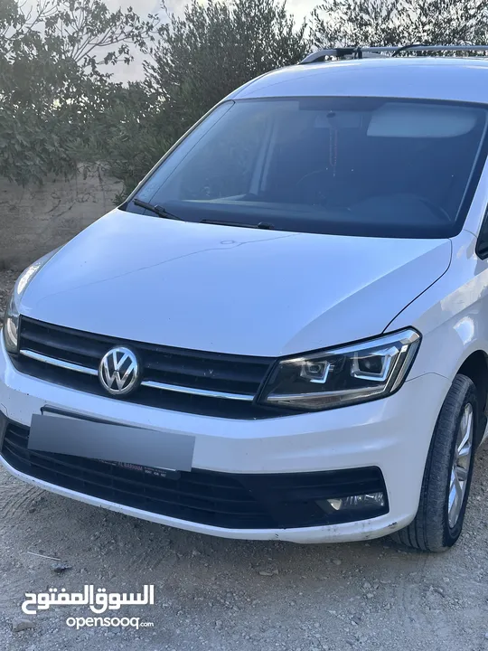 كادي 2017 يد أولى