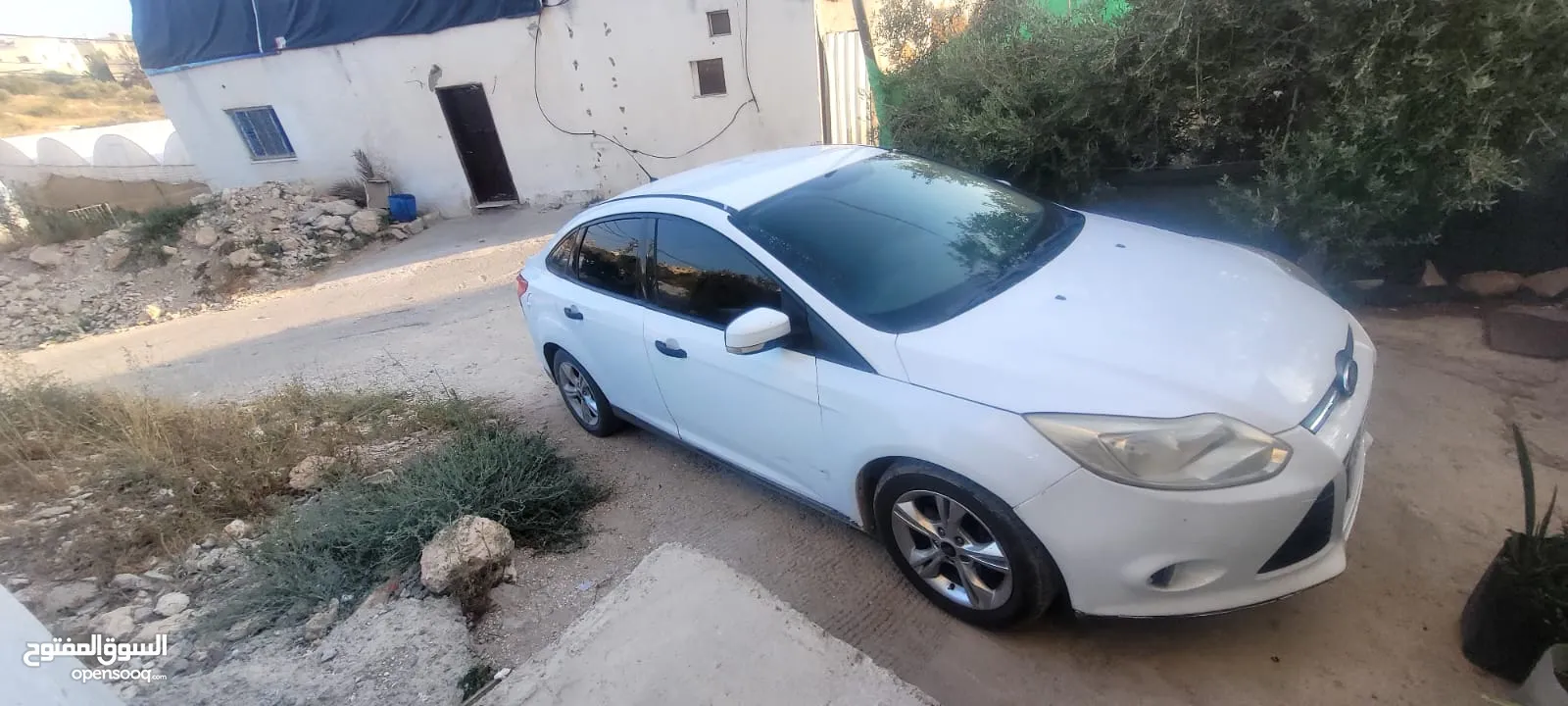 فورد فوكس 2025