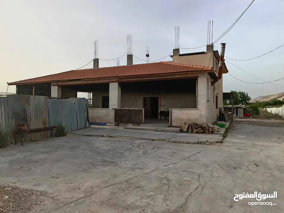 مزرعه مثمره للبيع