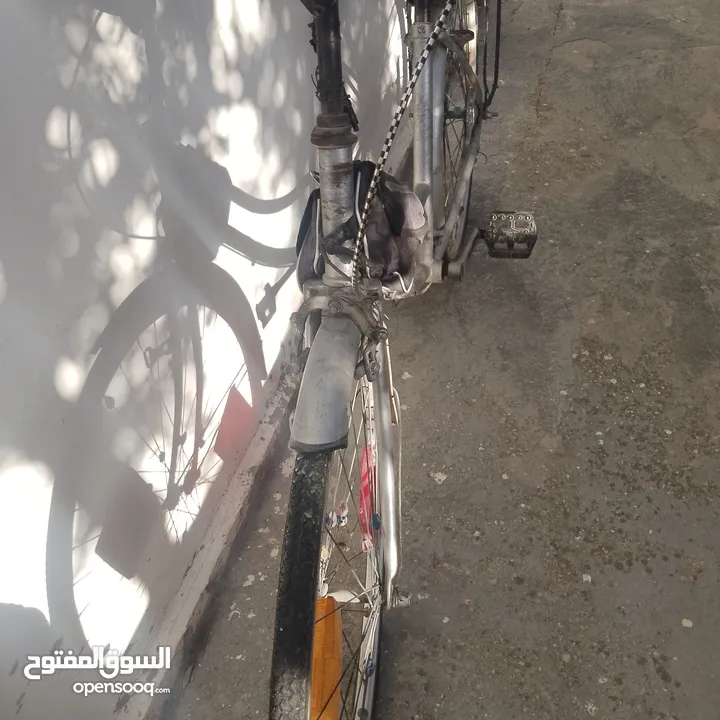 بسكليت فلبس نمره26