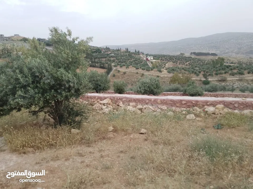 أرض ذات إطلالة خلابة في أجمل مناطق جرش