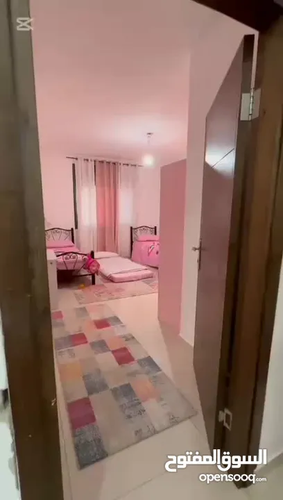 حازم قفيشة