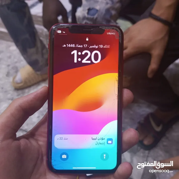 ايفون 11 العادي