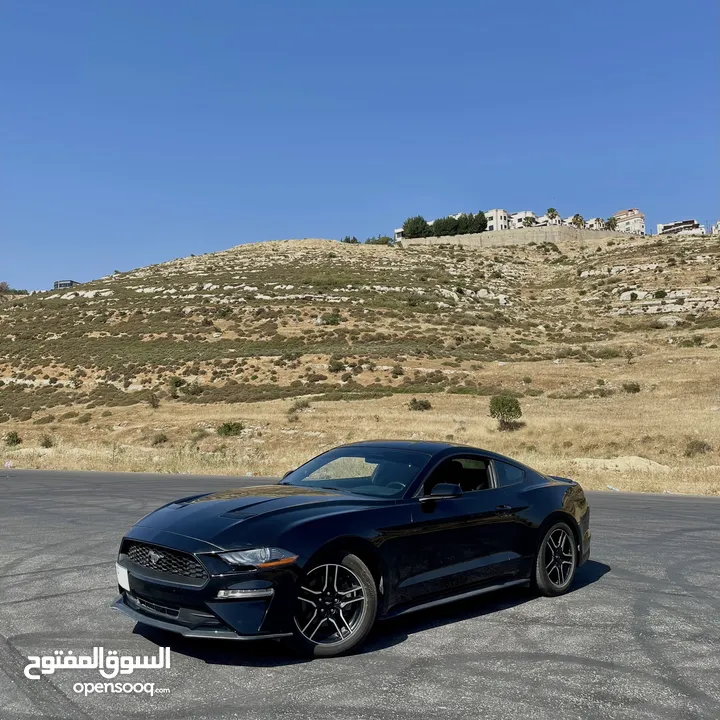 Ford Mustang 2019 Ecoboost 2.3 10 speed Low mileage