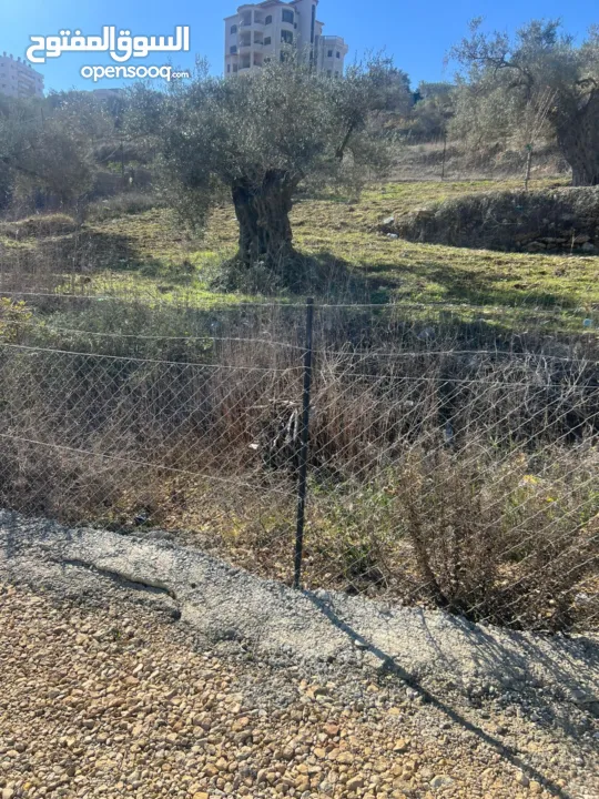 كوبر / ارض للبيع واصلها جميع الخدمات