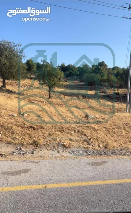 قطعة ارض في اجمل مواقع عجلون بسعر مغري للبيع قابل للتفاوض على السعر  (القطعه 3 دونمات ونصف )