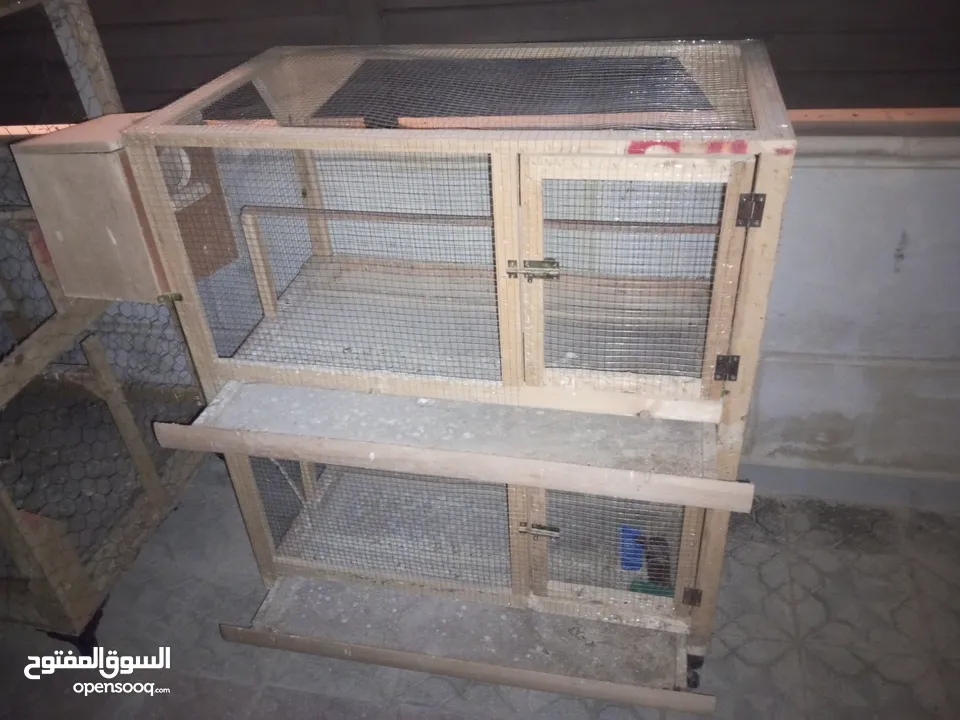 قنون طيور بحال الجديد للبيع