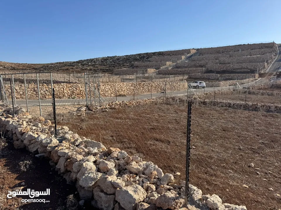 قطعتين مجاورتان للبيع في ضاحية النسيم دومه /دورا اول الظاهريه ، تصنيف الف بناء طابو