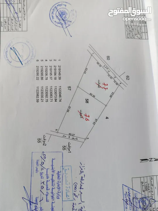 مادبا ماعين مشرفه المرعاوي  قطعة ارض زراعية مميزة  ذات اطلالة على البحر الميت واصل الخدمات 4150 متر
