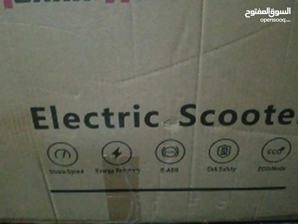 electric scotty