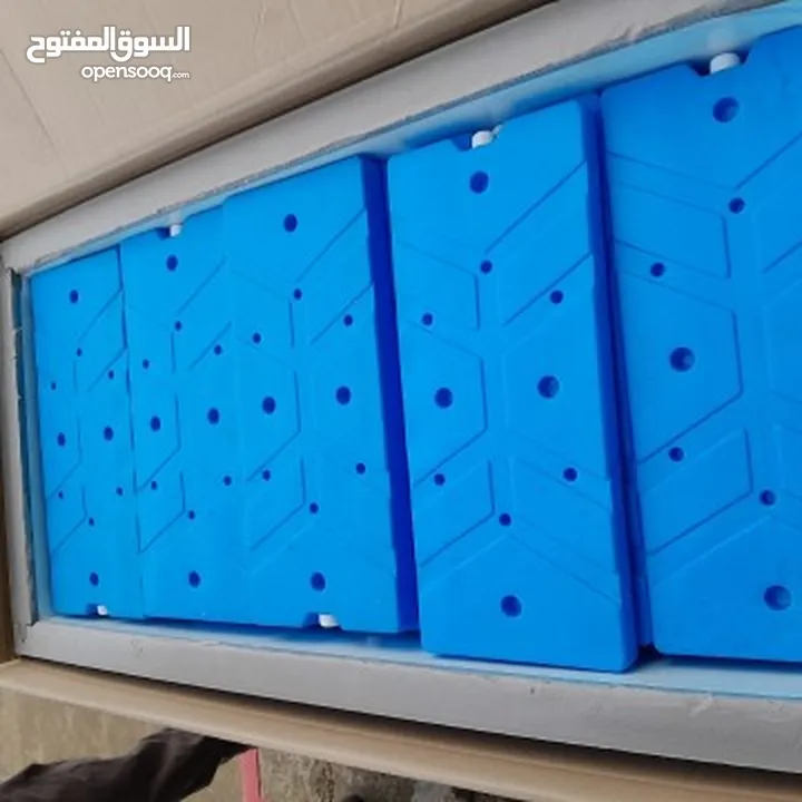 حافظه برودة