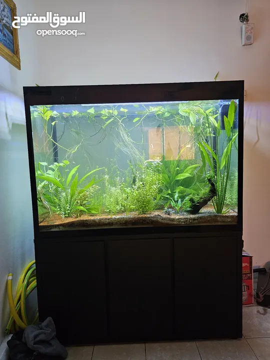 Aquarium with complete set