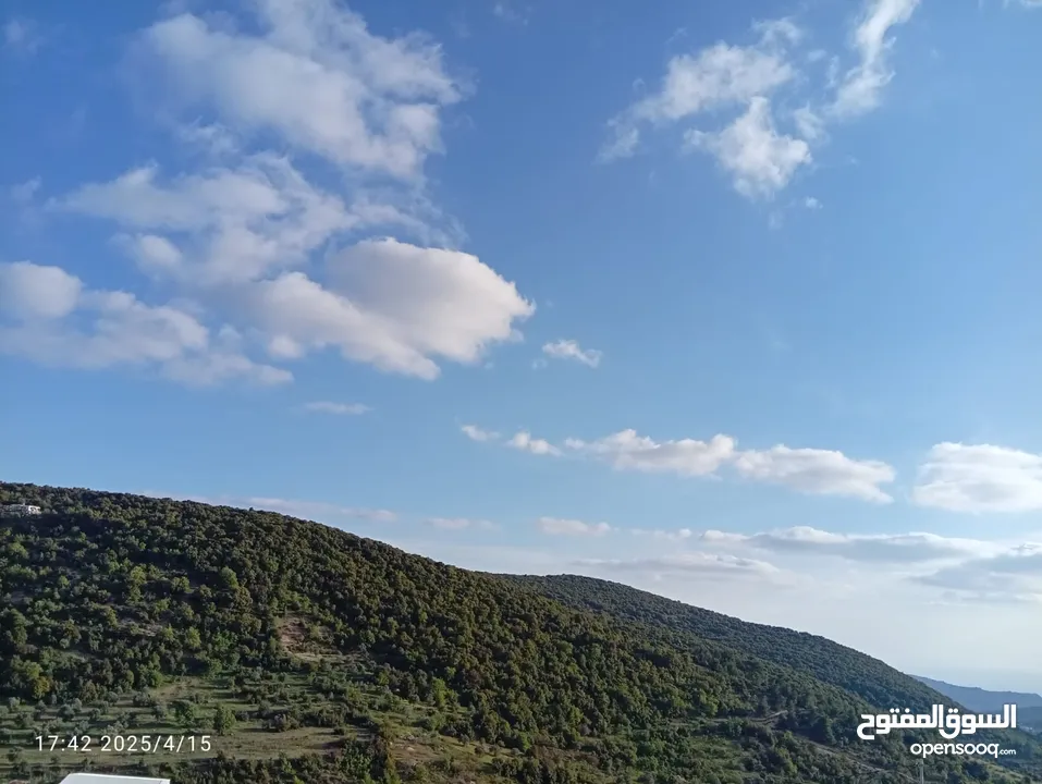 بيت العز والكرم